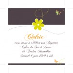 Faire part à fleurs classiques pour garçon