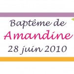 Autocollants à fleurs colorées pour fille