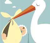 bapteme cigogne