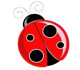 bapteme coccinelle