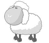 bapteme mouton