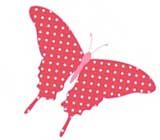 bapteme papillon