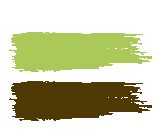 bapteme vert anis et chocolat